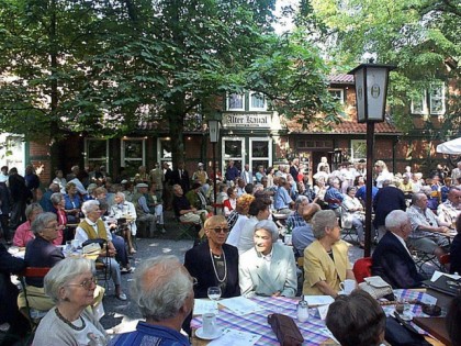 Photo: Waldwirtschaft Alter Kanal